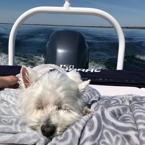 Meet your Posher, Matt - Picture 1 of 1